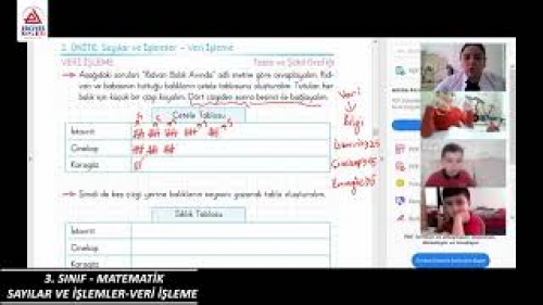 3.Sınıflar | Matematik | Sayılar ve İşlemler-Veri İşleme