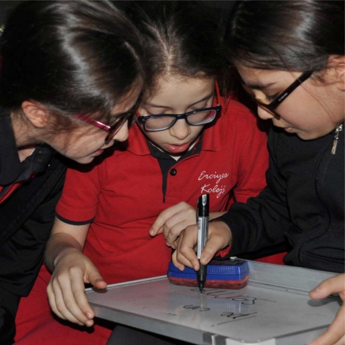 Deyimler Dile Gelsin, Tekerlemeler Şekerleme Olsun!