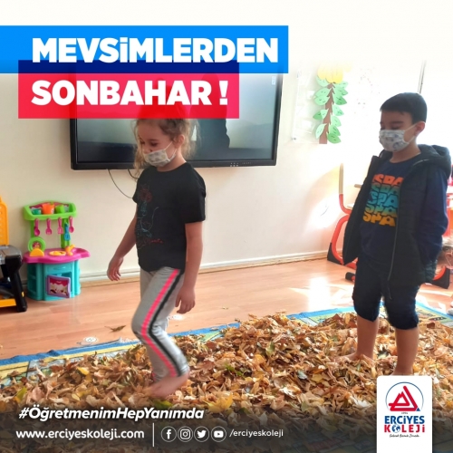 MEVSİMLERDEN SONBAHAR