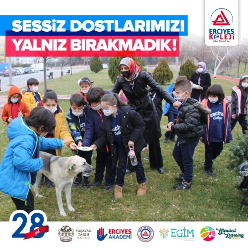 SESSİZ DOSTLARIMIZI YALNIZ BIRAKMADIK!