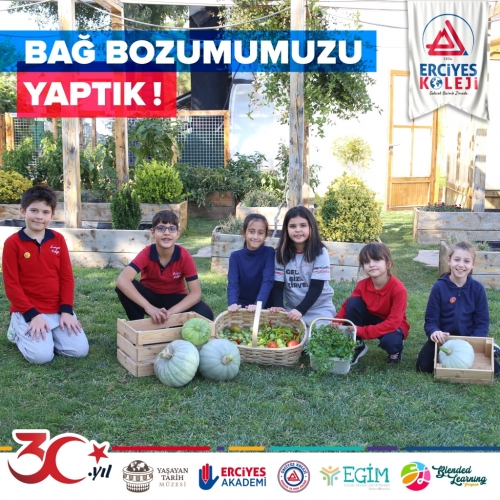 BAĞ BOZUMUMUZU YAPTIK!