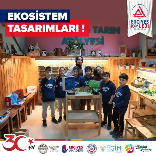EKOSİSTEM TASARIMLARI!