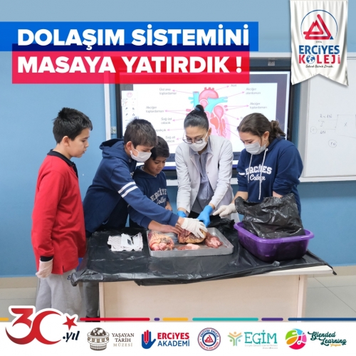 DOLAŞIM SİSTEMİNİ MASAYA YATIRDIK!