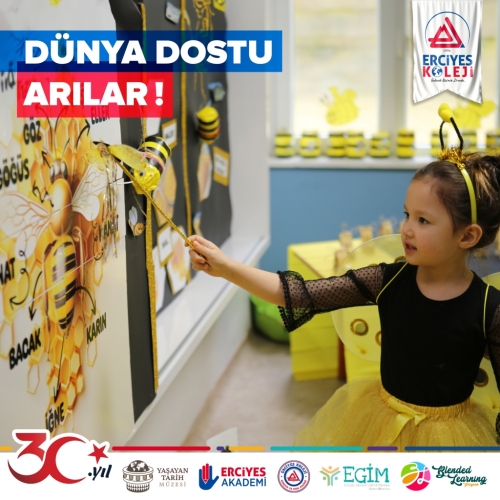 DÜNYA DOSTU ARILAR