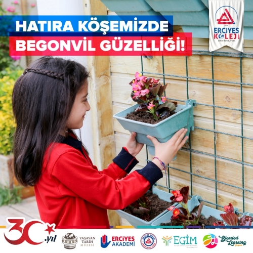 HATIRA KÖŞEMİZDE BEGONVİL GÜZELLİĞİ!