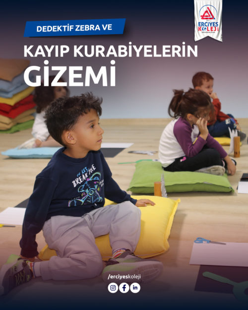 DEDEKTİF ZEBRA VE KAYIP KURABİYELERİN GİZEMİ!