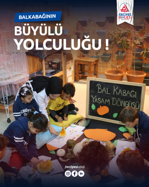 Balkabağının Büyülü Yolculuğu!